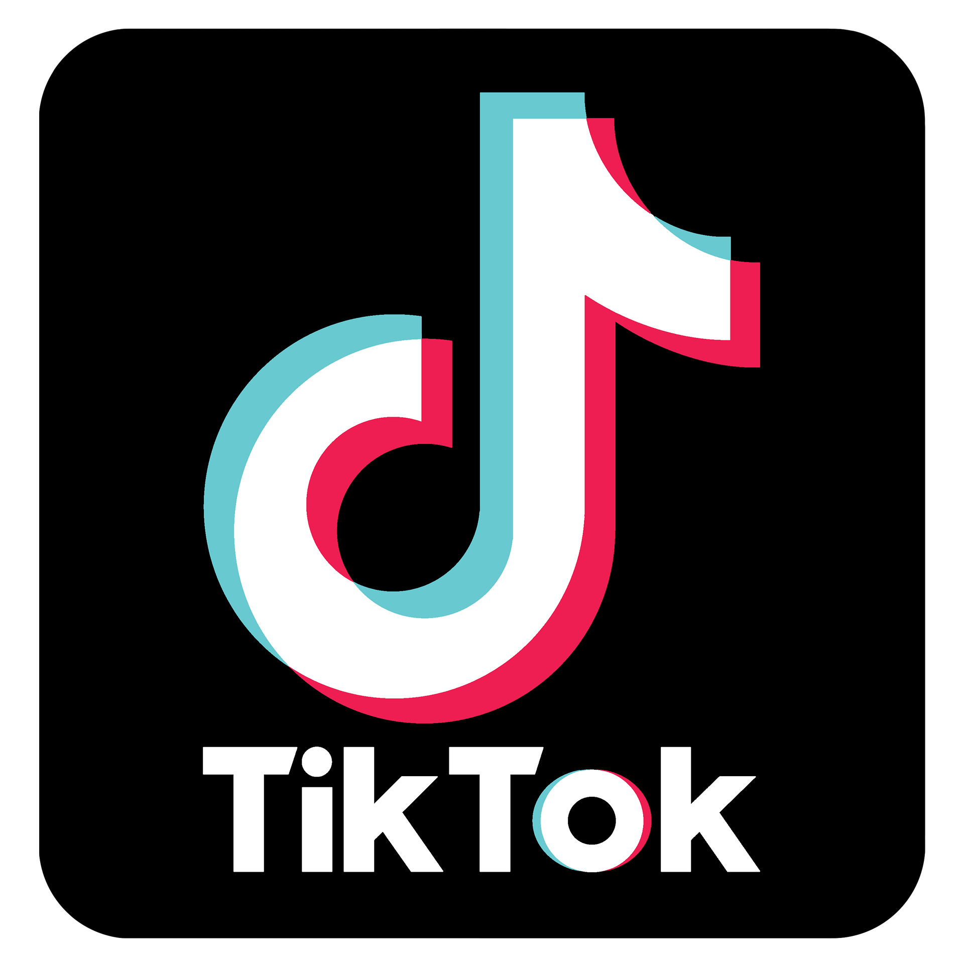 tiktok no watermark